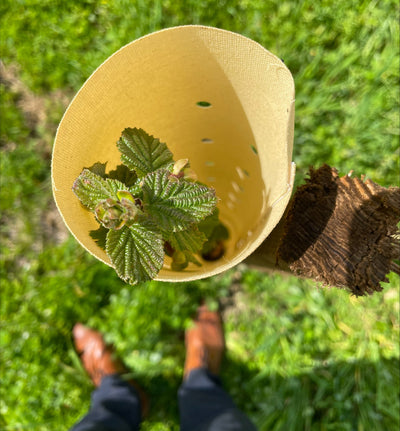 Tree Hugger™ Biodegradable Shelters