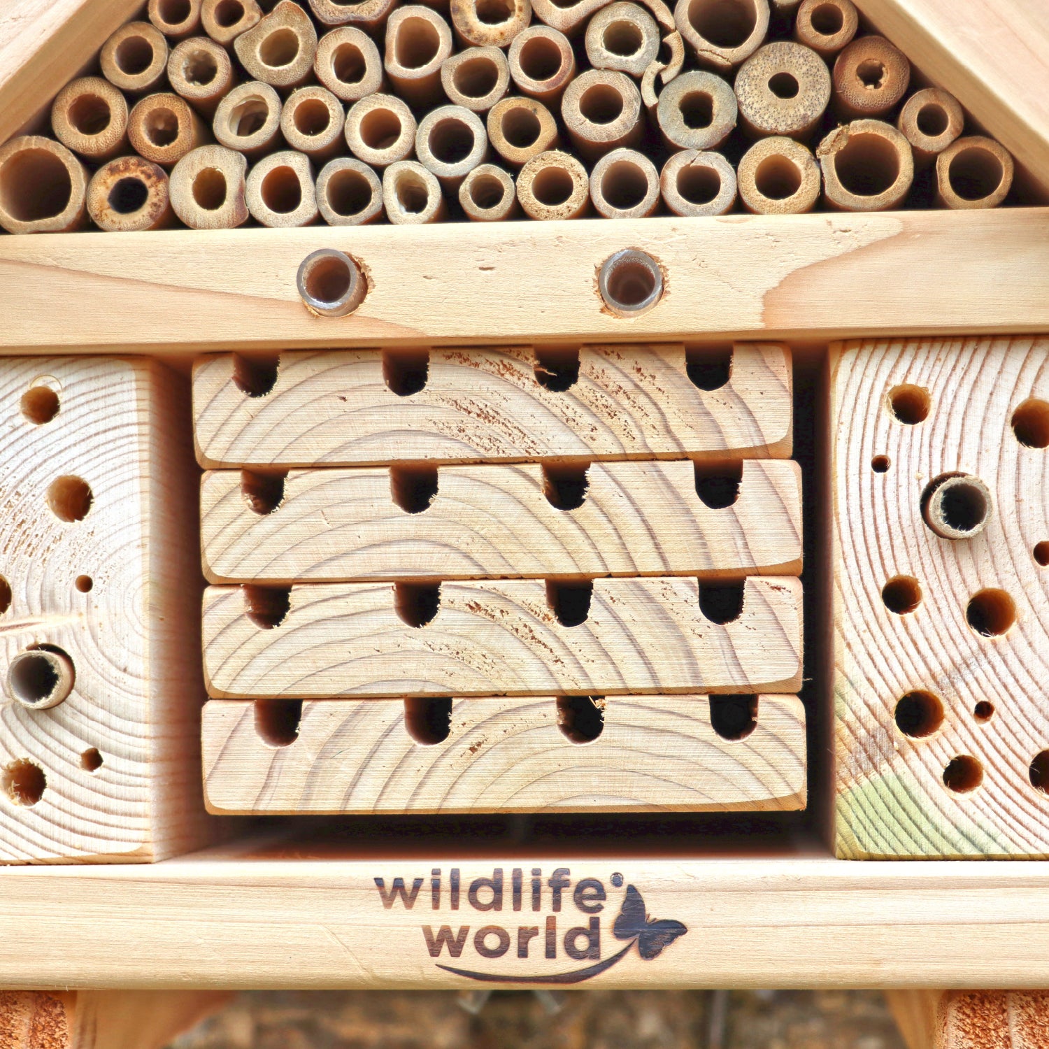 Citizen Science Bee Hotel