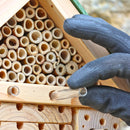 Citizen Science Bee Hotel