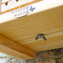Citizen Science Bee Hotel