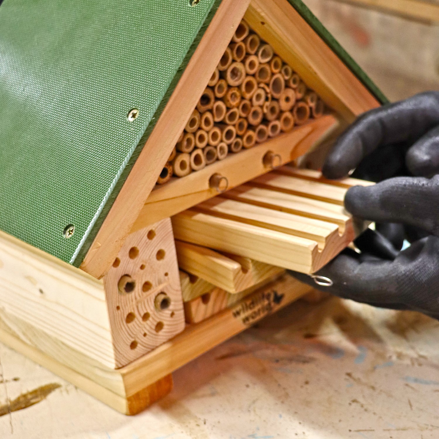 Citizen Science Bee Hotel