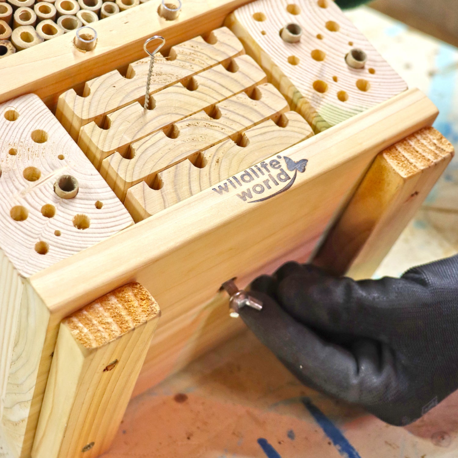 Citizen Science Bee Hotel