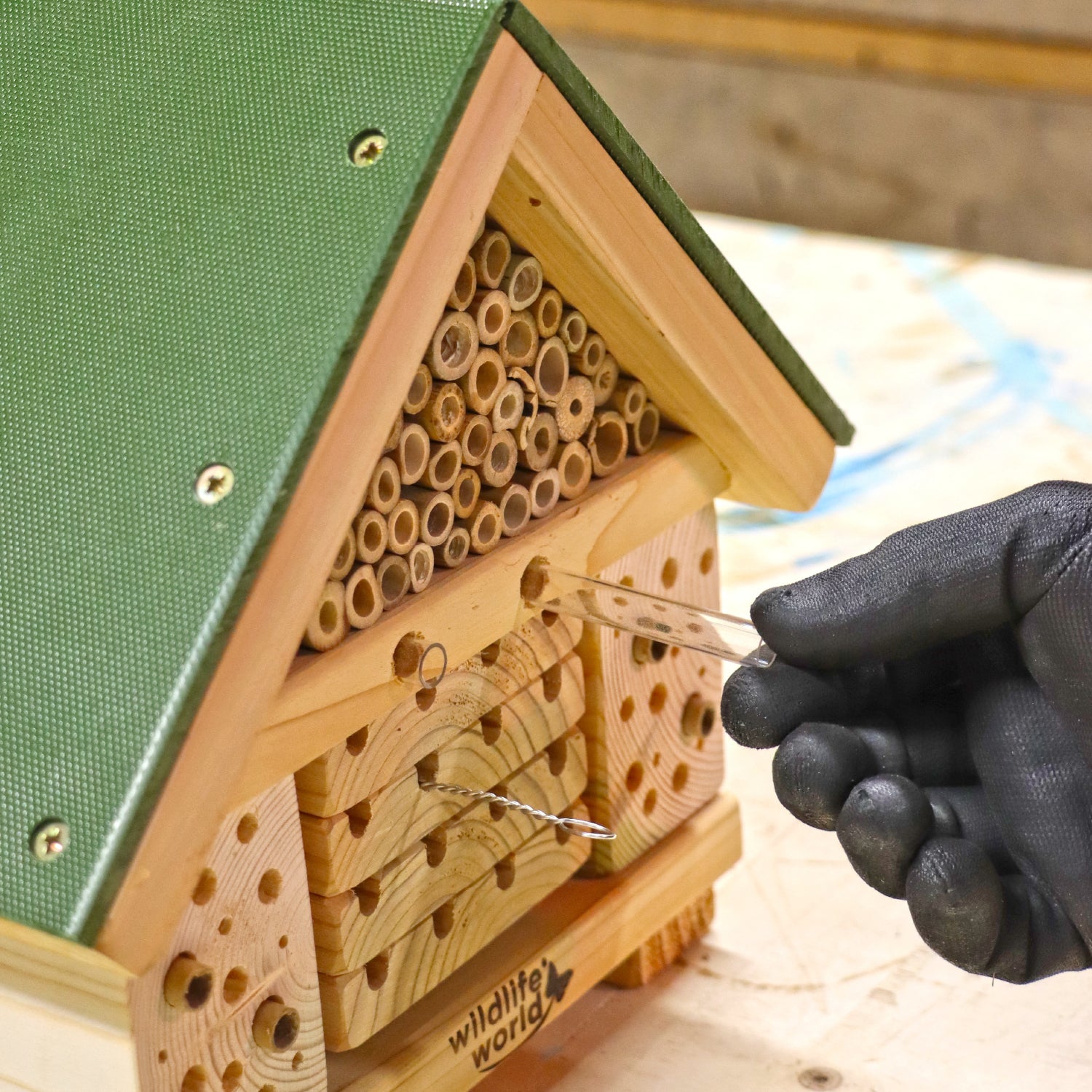 Citizen Science Bee Hotel