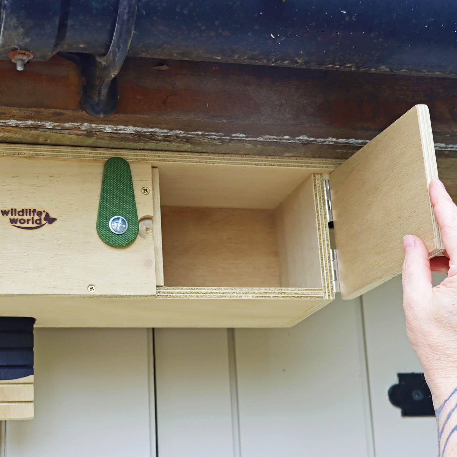 Swift Eaves Box