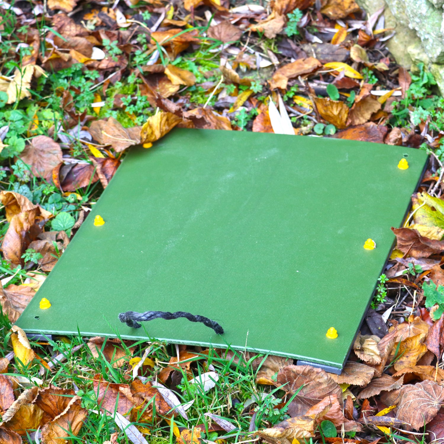 Refugia Board