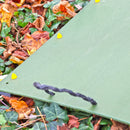 Refugia Board