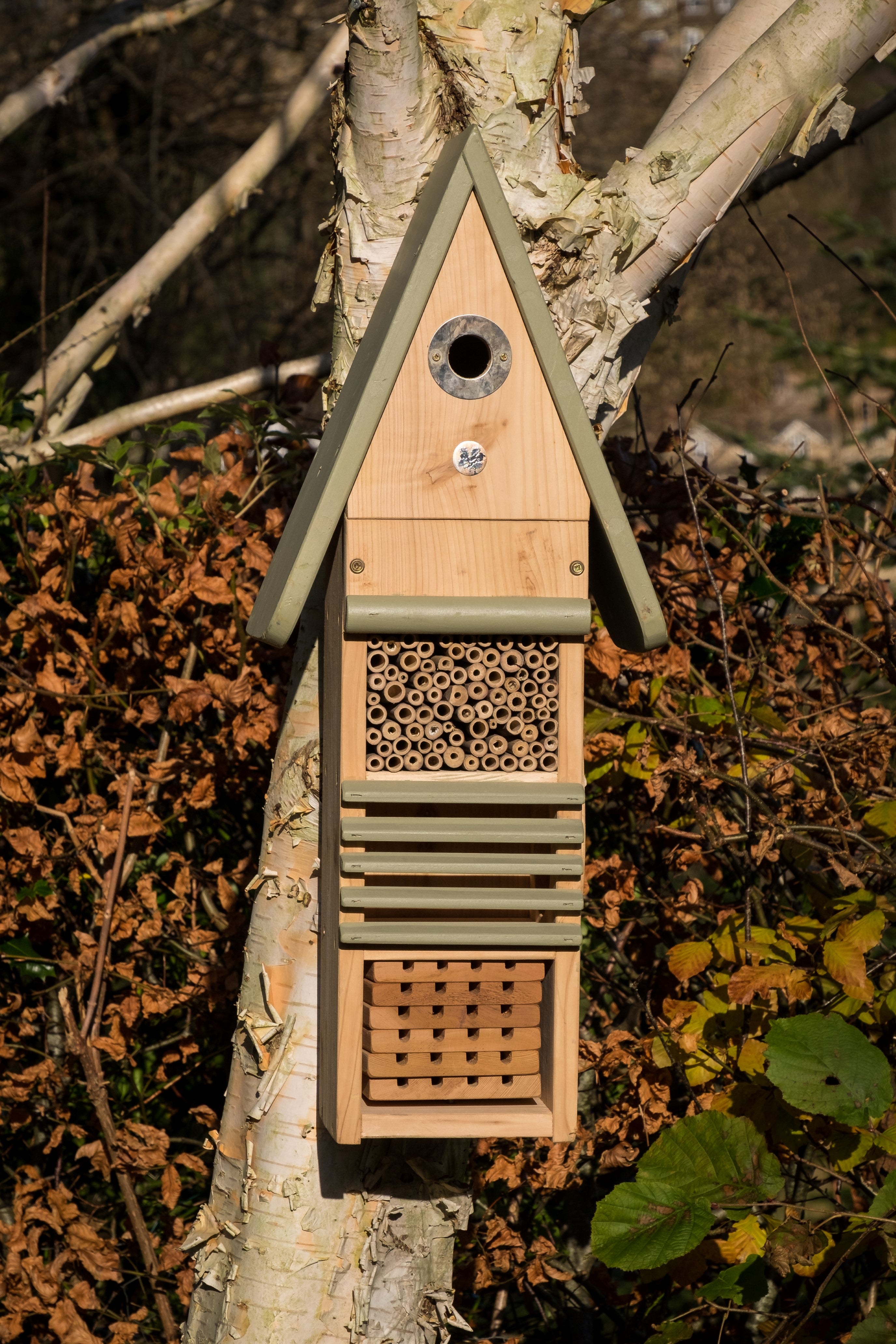 Insect Study Centre