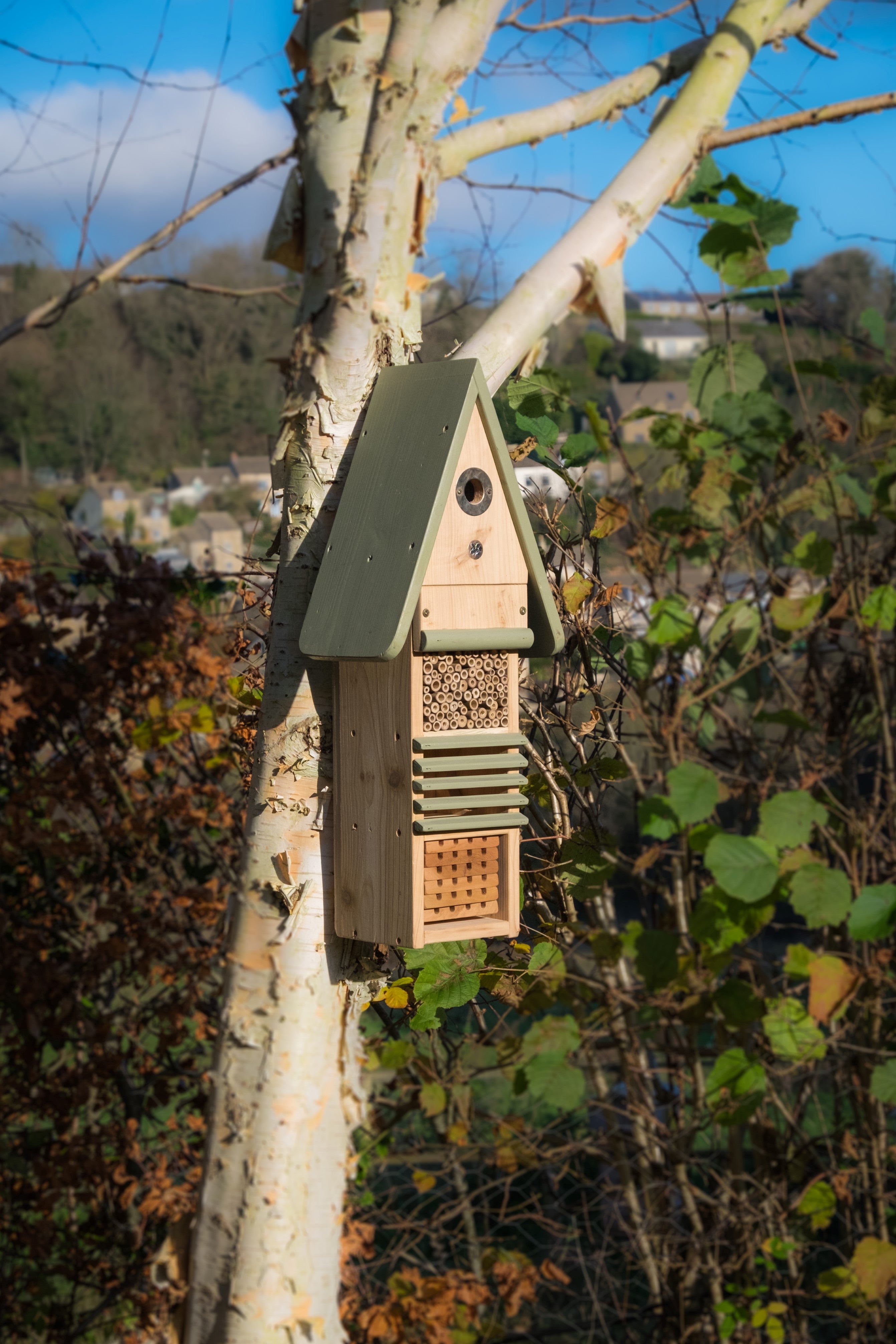 Insect Study Block Area Wildlife World Insect Study Centre | Amenity Choice