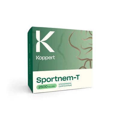 Sportnem-T Leatherjacket Killer