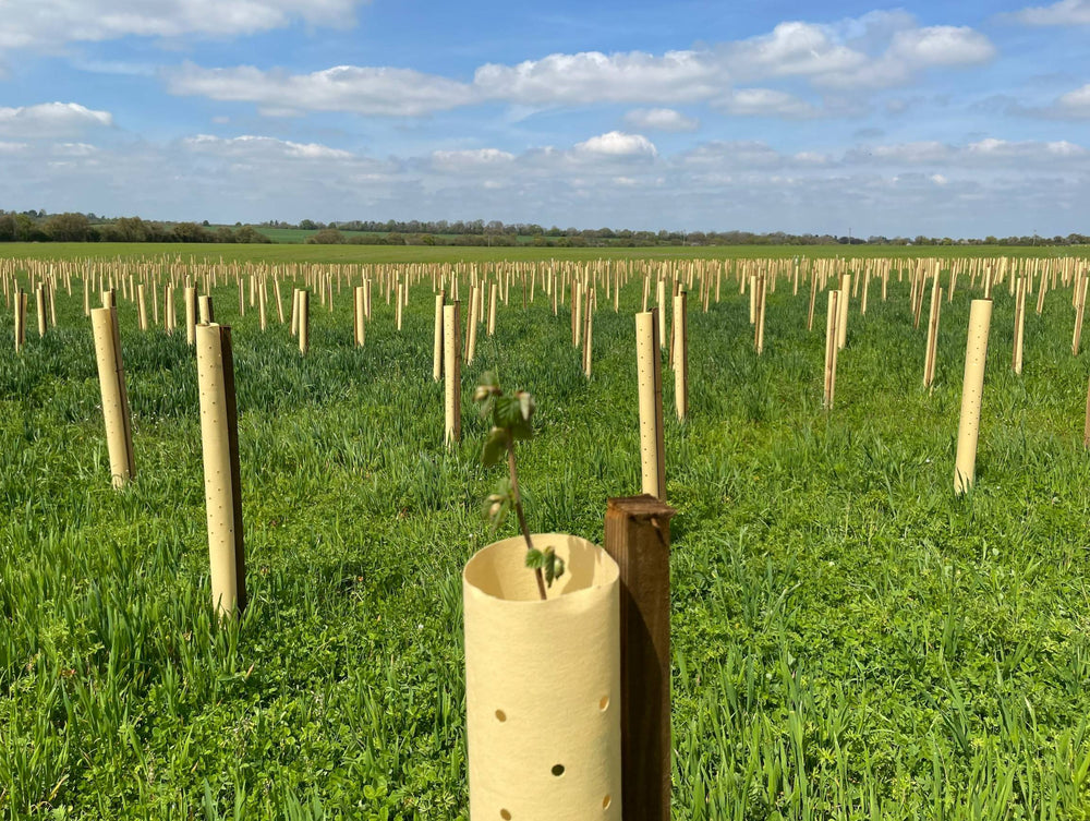 Tree Hugger™ Biodegradable Shelters And Guards | Amenity Choice