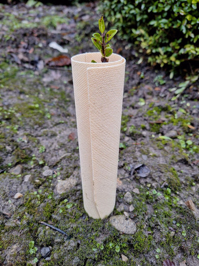 Tree Hugger Biodegradable Vole Guards