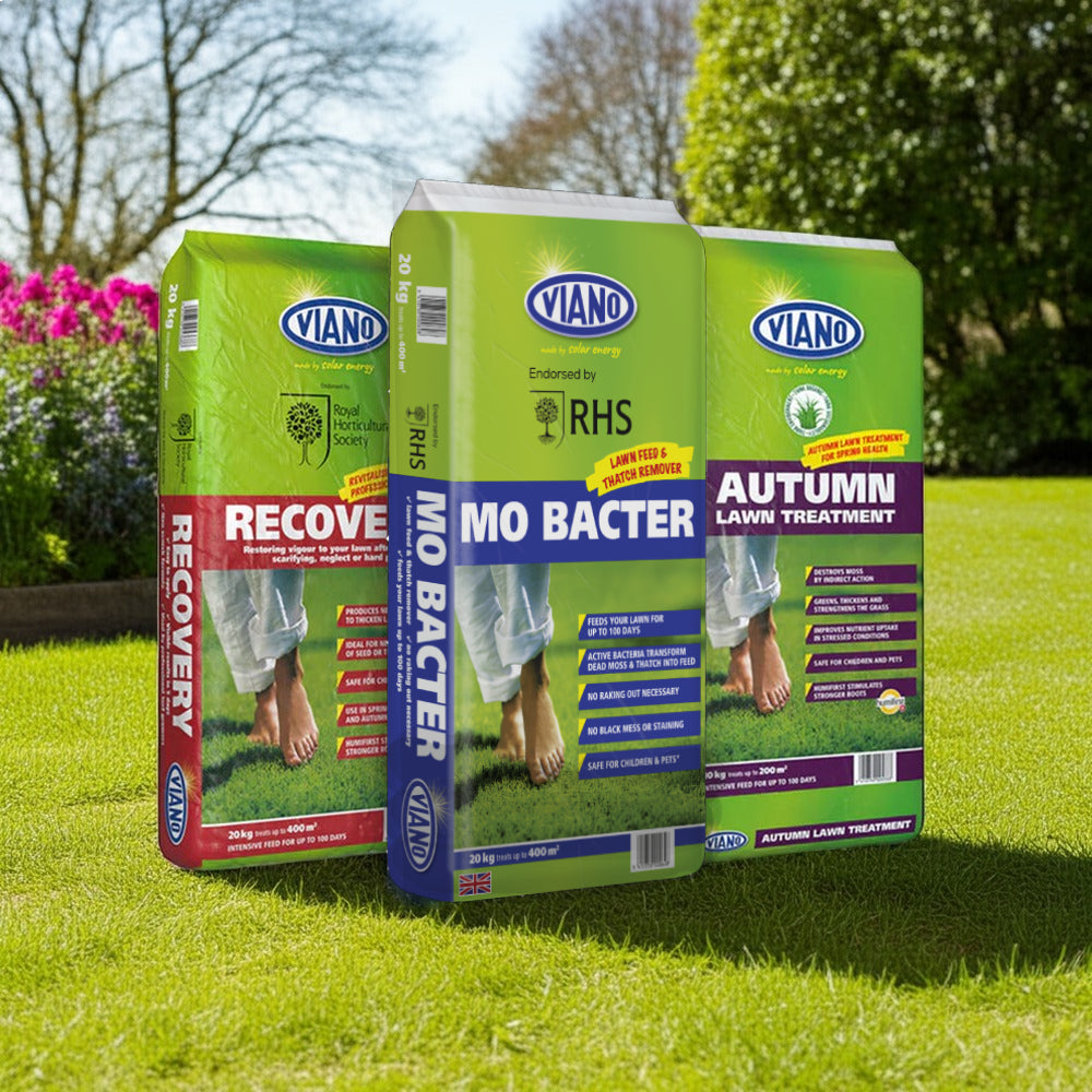 All Year Round Lawncare Packages