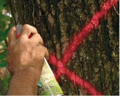 Fluo Marker Aerosols - Forestry