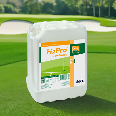 H2Pro DewSmart 10L