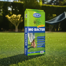 Viano Mo Bacter