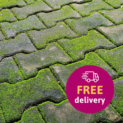 Hard Surface Moss Cleaners