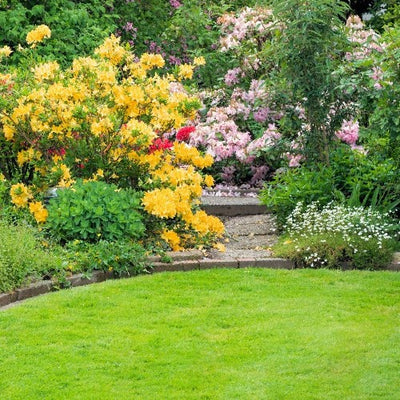 RHS Endorsed Fertilisers