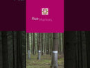 Fluo Marker Aerosols - Forestry