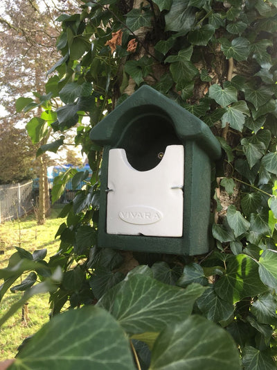 Vivara Pro Barcelona Open WoodStone® Nest Box