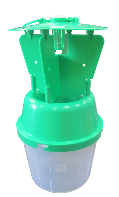 Chafer Beetle Trap with Free Pheromone Lure