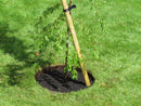 EverEdge Garden Tree Rings