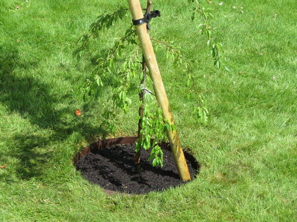 EverEdge-Garden-Rings_grande.