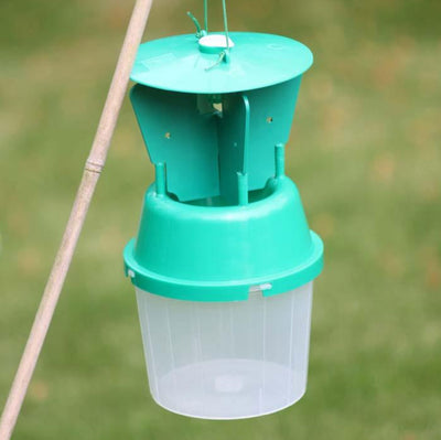 Chafer Beetle Trap with Free Pheromone Lure