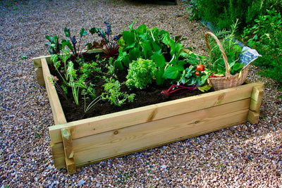 Darwin Raised Bed Planter Kit