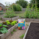 Champions Blend Peat Free Compost
