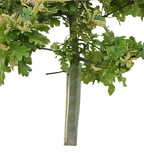 Spiral Tree Guards (per 250) | Amenity Choice