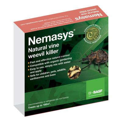 Nemasys Vine Weevil Killer (100 m2)